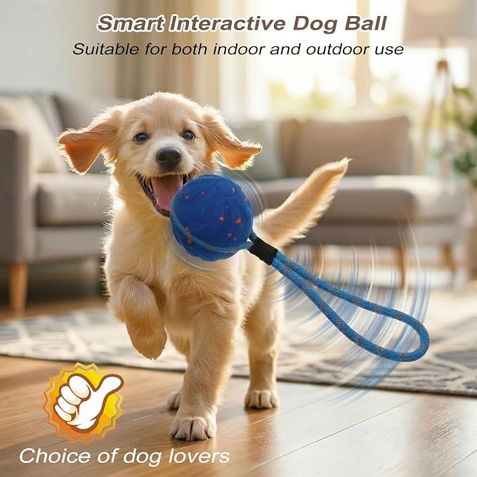 Smart Interactive Dog Toy,Smart Moving Bouncing Dogs Ball with RGB Lights, Automatic Moving, Bouncing, and Rotating,E-TPU Durable & Waterproof,for Small Medium Dogs Keep Them Busy (Type A)