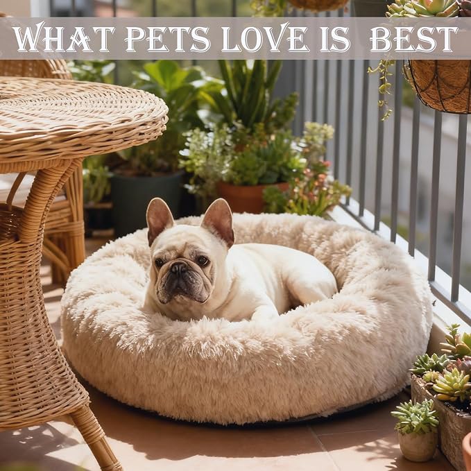 Washable Calming Dog & Cat Bed for Ultra Large Small Medium Size Pet | Donut Round Cute Warming Mat House Supply Indoor, 8 Sized Deal Necessity Essential Furniture for Boy Girl Puppy Kitten kitty