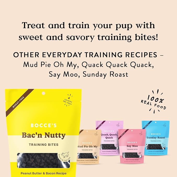 Bocce's Bakery Bac'n Nutty Dog Training Treats Bundle, PB & Bacon (2 Pack) | Oven Baked, Wheat-Free Everyday Dog Treat Cookies - Made with Real, Limited Ingredients and Baked in The USA