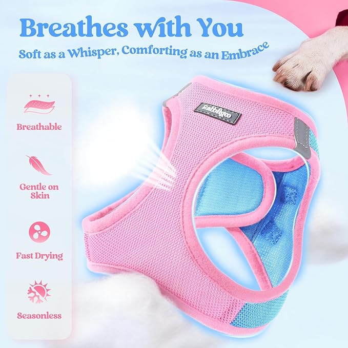 rabbitgoo Dog Harness Small Sized and Leash Set, Step-in Puppy Pet Vest | Light, Soft, Breathable Air Mesh, Easy on and Remove with Hook & Loop, Secure Reflective for Walking, Blue & Light Pink XXS