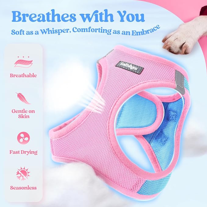 rabbitgoo Dog Harness Small Sized and Leash Set, Step-in Puppy Pet Vest | Light, Soft, Breathable Air Mesh, Easy on and Remove with Hook & Loop, Secure Reflective for Walking, Blue & Light Pink S