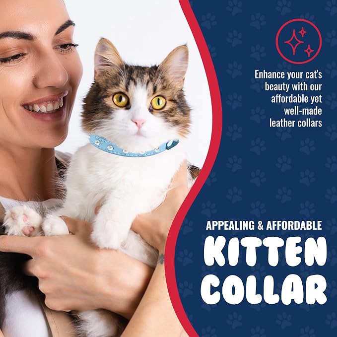Rhinestones Cat Collar, Genuine Leather Kitten Collar, Sturdy Breakaway Cat Collar, Water-Resistant Cat Collar with Bell & Elastic Stretch, Baby Blue, 10 x 1/2 inches - Angel Pet Supplies