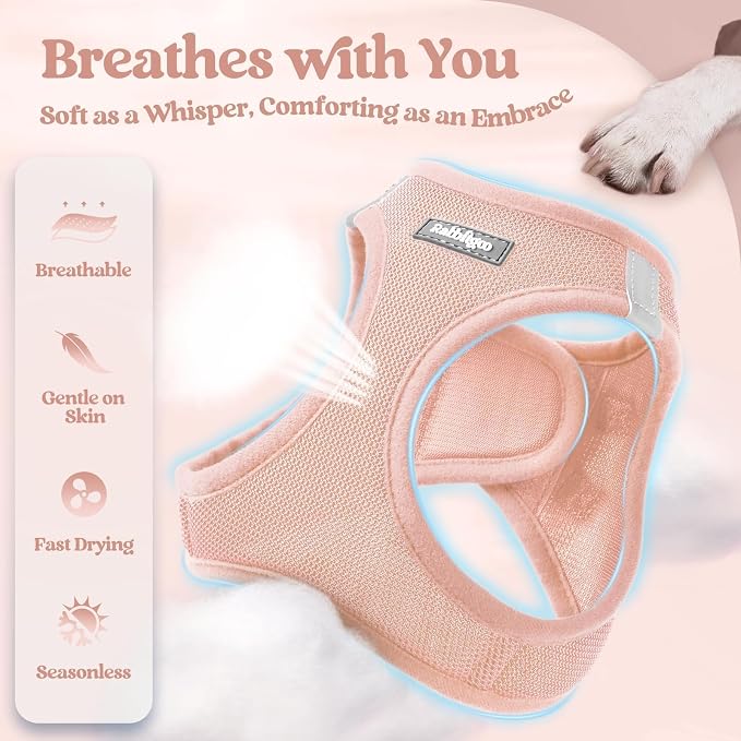 rabbitgoo Dog Harness Medium Sized and Leash Set, Step-in Puppy Pet Vest | Light, Soft, Breathable Air Mesh, Easy on and Remove with Hook & Loop, Secure Reflective for Walking, Pink XL