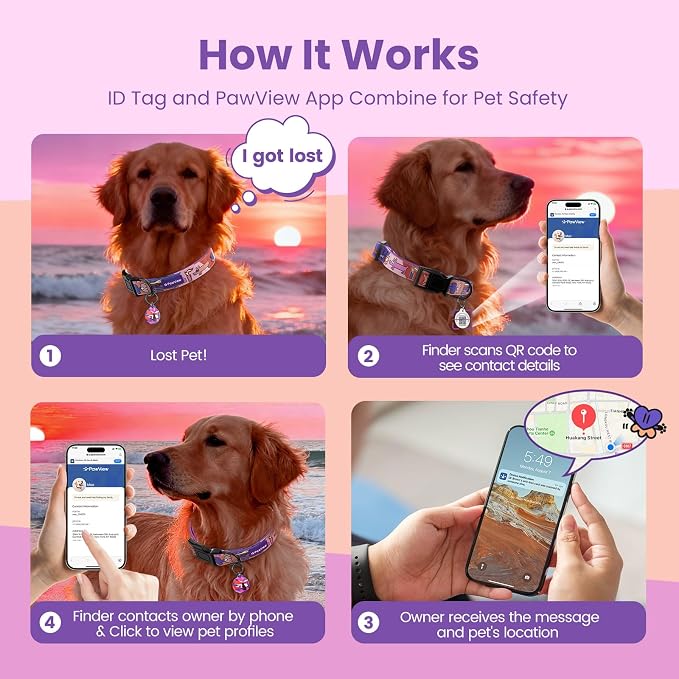 Dog Collar with QR Code ID Tag, Adjustable Pet Collar, Purple, M