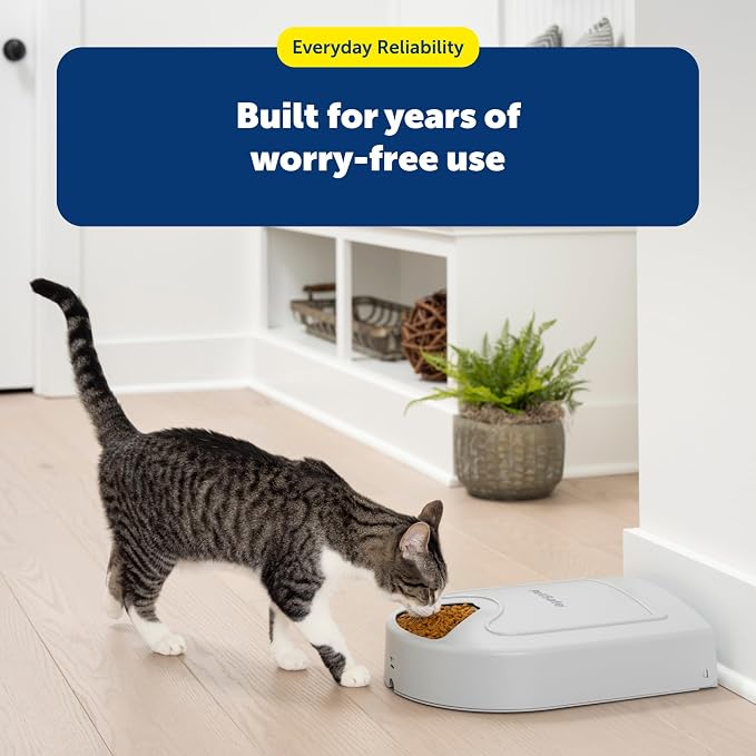 PetSafe Automatic Dog Feeder, 5 Meals, 40 oz Capacity, Plastic, for Dry Food, Multiple Pets | Schedules up to 5 Meals/Treats, Each Compartment Holds 1 Cup, Feed-Now Button, Dishwasher-Safe Tray