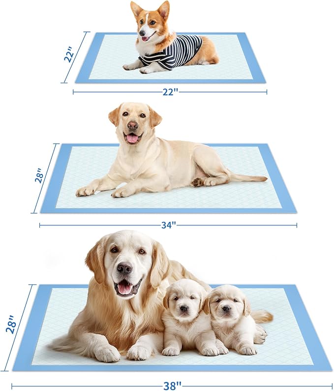 Powools Puppy Pads for Dogs, 38 x 28 in, 6-Layer, Leak-Proof, 75-Pack | XX-Large Pee Pads for Dogs Potty Training, Quick-Dry Design, Wee Wee Pads for Dogs, Puppy Training Pads