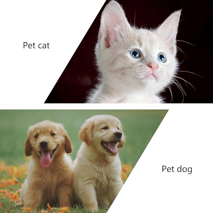 iplusmile Cat Feeding Toy Rotating Windmill Slow Food Dispenser Interactive Treat Leakage Toy for Indoor Play Iq Training 5.11 X 1.57 X 6.69 in