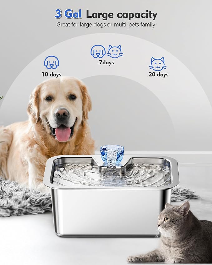 3 Gallon Stainless Steel Dog Water Fountain, Large Dogs, 2 Filters | 3-gallon stainless steel dog water fountain with quiet flow, easy-clean parts, 2 filters, plus a shallow bowl for large dogs.