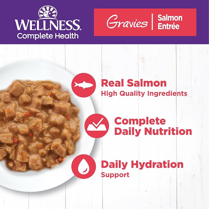 Wellness Complete Health Gravies Adult Canned Wet Cat Food, Natural, Protein Rich, Grain Free, Salmon Entrée Recipe, 5.5 oz, Pack of 12 Cans