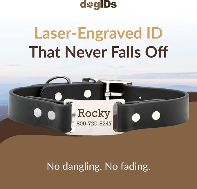 dogIDs Personalized Dog Collar – ScruffTag Custom Waterproof Biothane Dog Collar with Laser-Engraved Name, Durable & Odor-Resistant – USA Made | Black, 3/4 in x 16 in (Fits Neck Sizes 14-18 in)