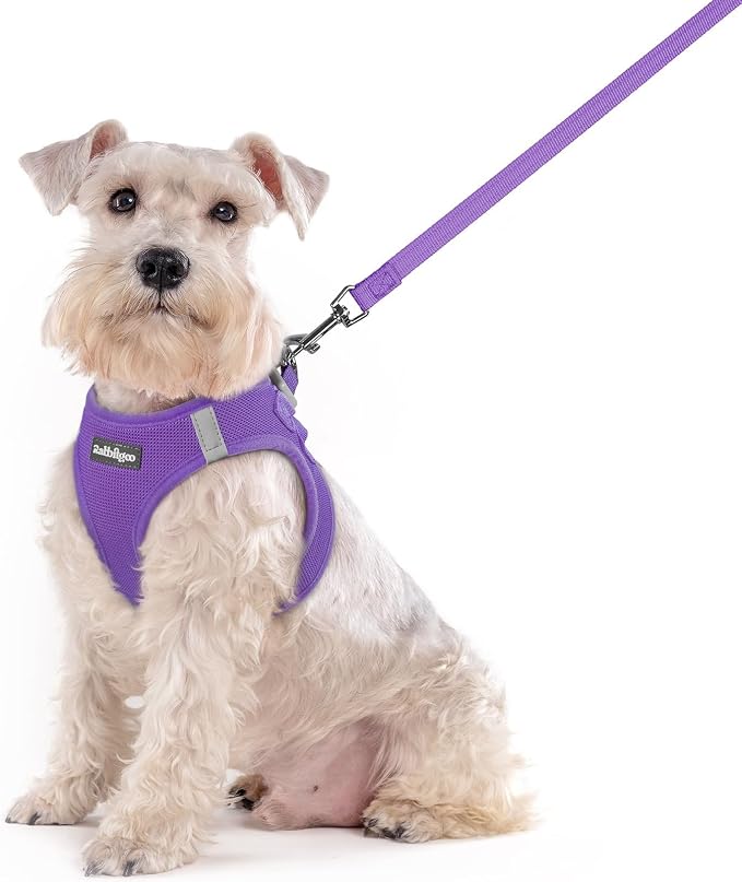 rabbitgoo Dog Harness Medium Sized and Leash Set, Step-in Puppy Pet Vest | Light, Soft, Breathable Air Mesh, Easy on and Remove with Hook & Loop, Secure Reflective for Walking, Purple XXL