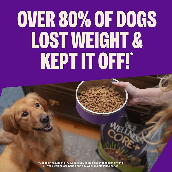 Wellness CORE Healthy Weight Adult Dry Dog Food, Grain Free Kibble, Natural, High Protein, Turkey and Chicken Recipe, 12 lb Bag