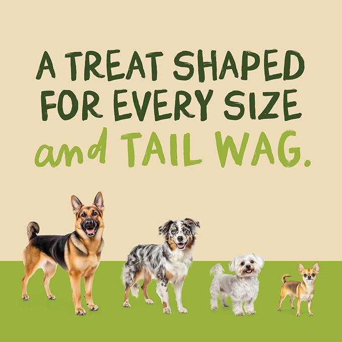 Pet 'n Shape Chik 'n Dumbbells: All-Natural, High-Protein Dog Treats; Limited Ingredient Chicken & Rice Chew for All Breeds, 32 Ounces (2 lbs) | Premium chicken breast, Rice recipe, Limited ingredients, Wheat and soy free, Bite-sized snack, For all lif...