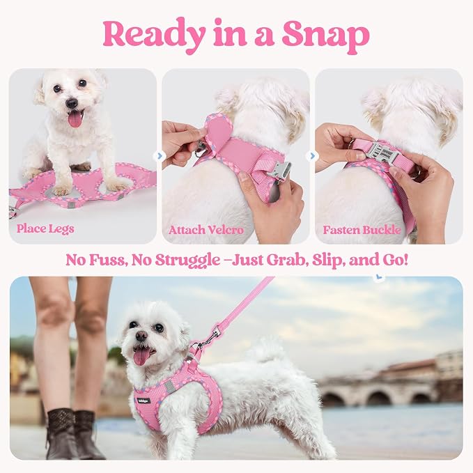 rabbitgoo Dog Harness Small Sized and Leash Set, Step-in Puppy Pet Vest | Light, Soft, Breathable Air Mesh, Easy on and Remove with Hook & Loop, Secure Reflective for Walking, Pink & Plaid Trim S