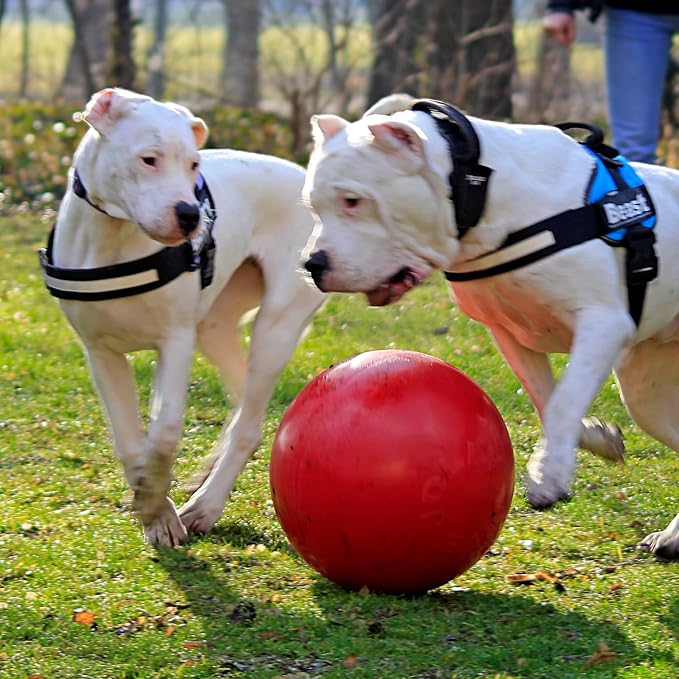 Jolly Pets Push-n-Play Ball Dog Toy, 14 Inches/Extra-Large, Red All Breed Sizes