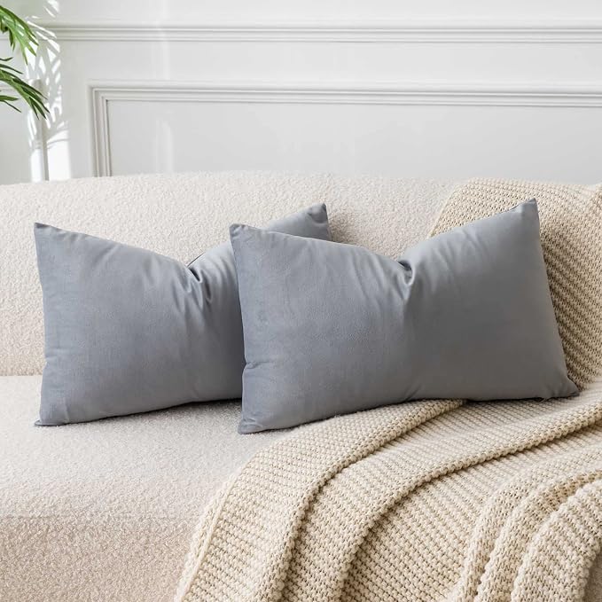 16x24 Velvet Throw Pillow Covers Set of 2 for Couch Bed Sofa,Silver Gray | Decorative Soft Pillow Covers with Invisible Zipper for Couch Sofa Bed Living Room Bedroom Home Decor