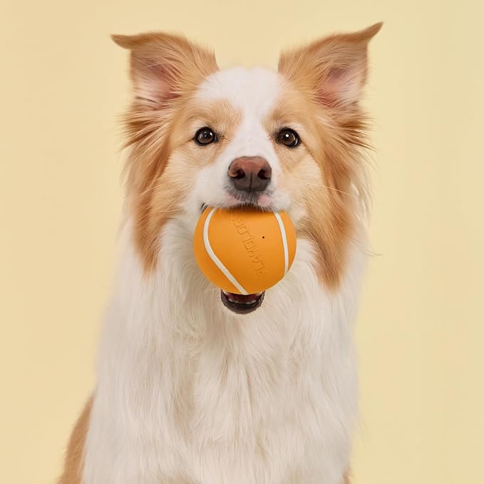 Playology Squeaky Chew Ball Dog Toy - Jumbo, Cheddar Cheese Scent