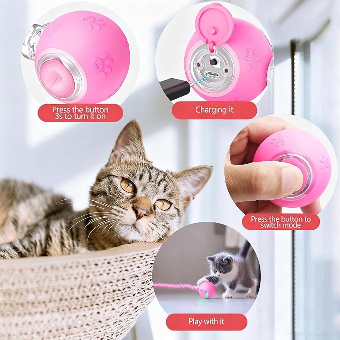 Speed 2.0 Tail Interactive Cat Toys, Rechargeable Ball for Indoor Cats