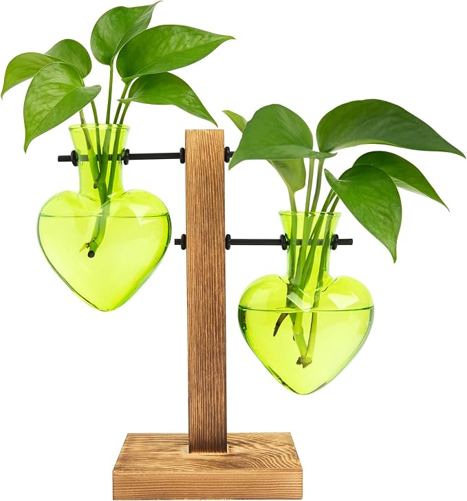 XXXFLOWER Plant Propagation Station Terrarium 2 Green Heart Shaped Vase | Terrarium Kit Bulb Glass Metal Desk Plant Holder, Retro Air Plants Water Plants, Home Office Decoration
