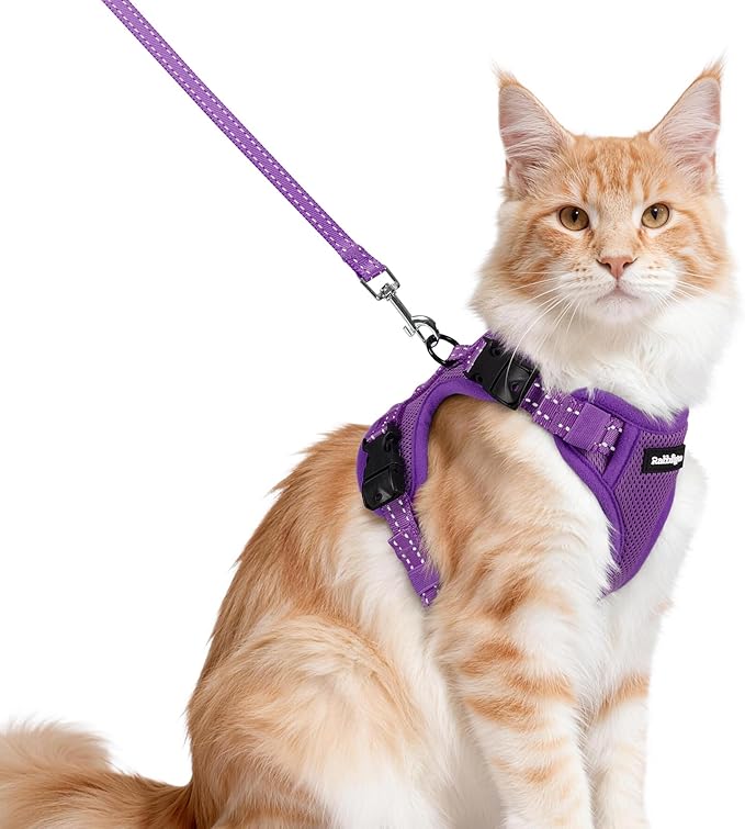 rabbitgoo Cat Harness and Leash, Easy-on with Neck Buckle, Purple