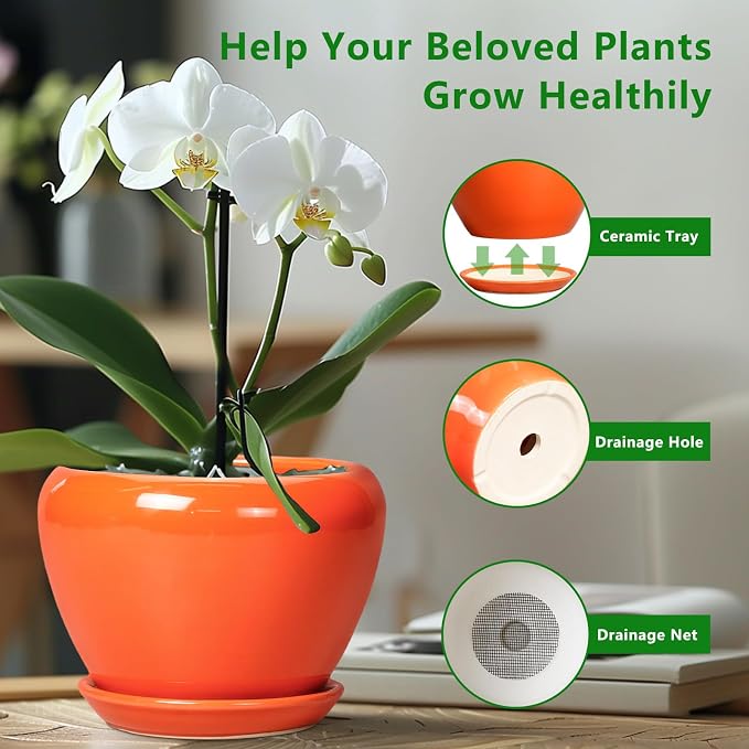 Ceramicfor Indoor Plant Pot 8 Inch - Ceramic Plant Pot with Drainage Hole and Saucer, Glaze Decorative Modern Round Planter for Outdoor Plants, Housewarming Gifts, Office Home Garden Decor, Orange