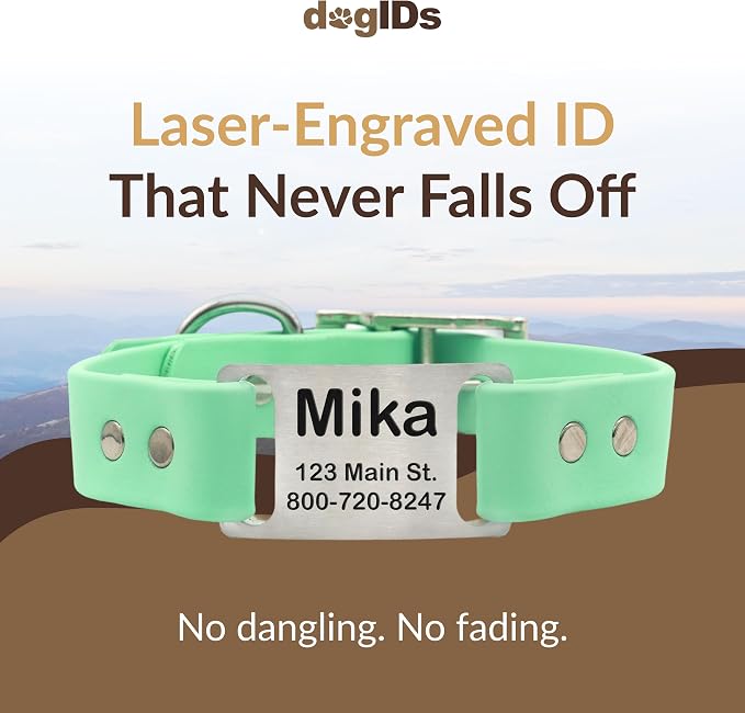 dogIDs Personalized Dog Collar – ScruffTag Custom Waterproof Biothane Dog Collar with Laser-Engraved Name, Durable & Odor-Resistant – USA Made | Mint, 1 in x 18 in (Fits Neck Sizes 16-20 in)