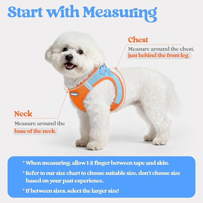 rabbitgoo Dog Harness Small Sized and Leash Set, Step-in Puppy Pet Vest | Light, Soft, Breathable Air Mesh, Easy on and Remove with Hook & Loop, Secure Reflective for Walking, Blue & Orange XXXS