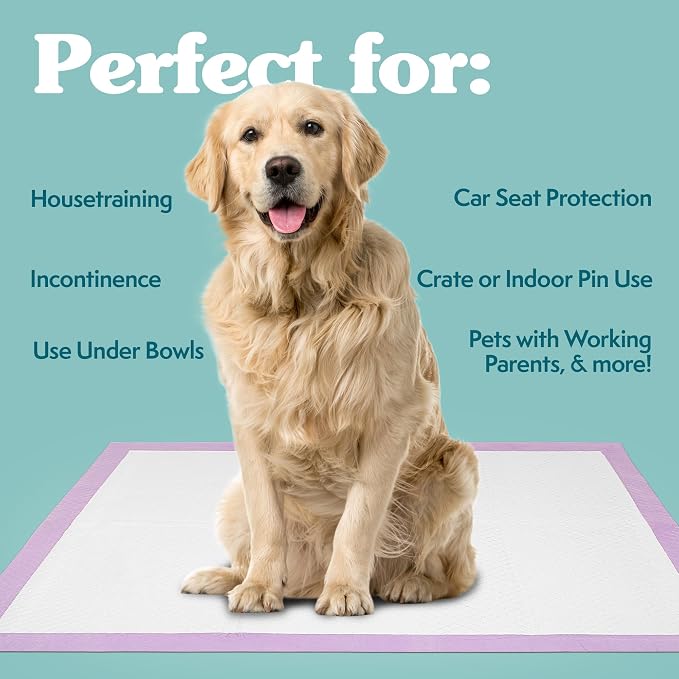 Simple Solution All Day Training Pads, Lavender Scented, 23"x24" 100 Count | Dog Training Pads, Puppy Potty Training, Housebreaking, Disposable Pee Pads, Floor Protection, Indoor Potty, Puppy Essentials