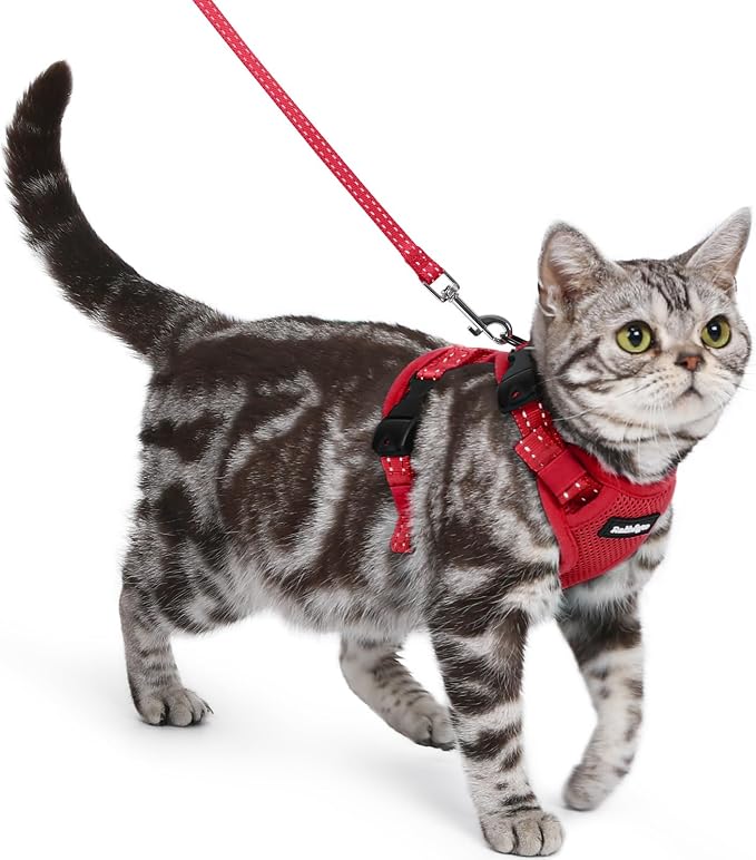 rabbitgoo Cat Harness and Leash, Easy-on with Neck Buckle, Red