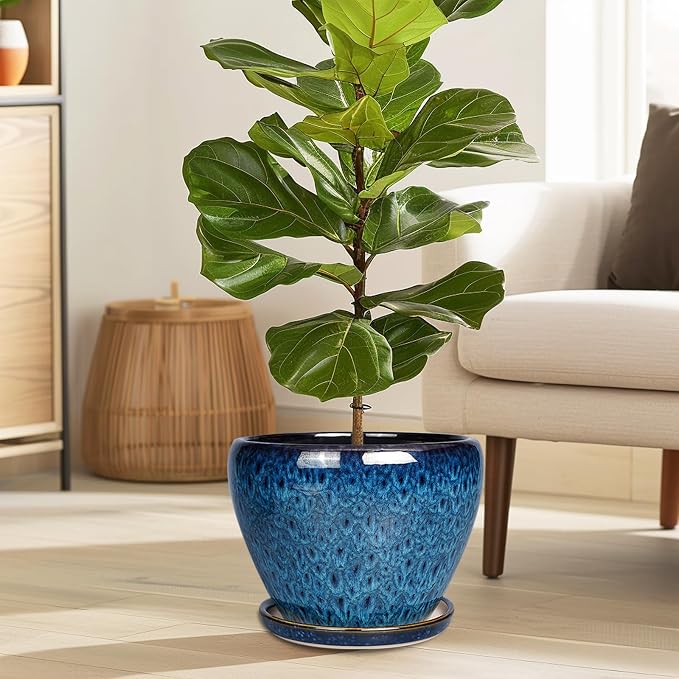 Ceramicfor 10 Inch Ceramic Planter Pot, Ceramic Plant Pot for Indoor Outdoor Plants, Large Flower Pot with Drainage Hole and Saucer, Blue