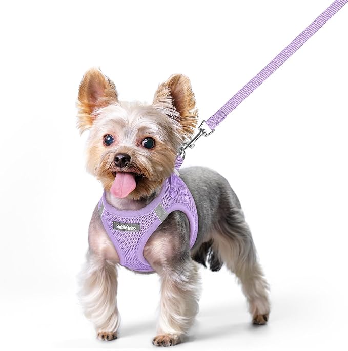 rabbitgoo Dog Harness Small Sized and Leash Set, Step-in Puppy Pet Vest | Light, Soft, Breathable Air Mesh, Easy on and Remove with Hook & Loop, Secure Reflective for Walking, Light Purple XS