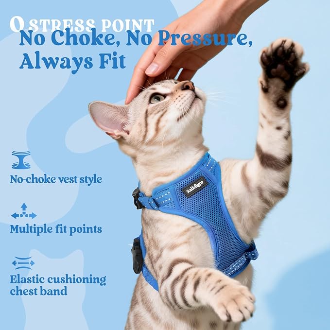 rabbitgoo Cat Harness and Leash, Easy-on with Neck Buckle, Royal Blue