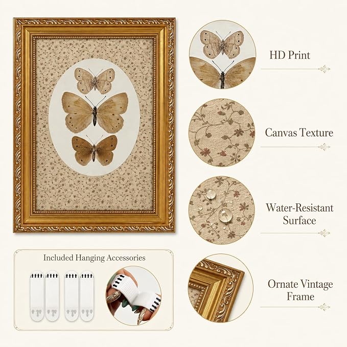 Vintage Butterfly Specimen Wall Art, Gold Framed Canvas Print | Vintage butterfly specimen wall art with gold frame, suitable for study room, office, and gallery wall decor.
