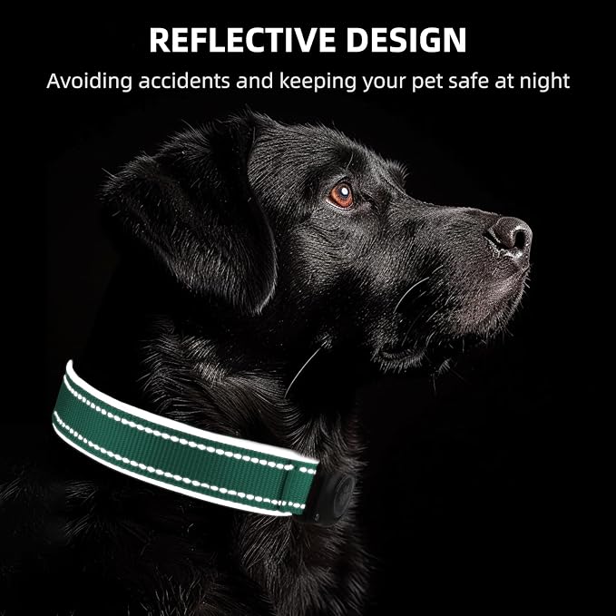 Upgrade Dog Collar with AirTag Holder, IP68 Waterproof, Aqua, L | Built-in Water Resistant AirTag holder, 1000D Nylon, Reflective Stitching for Night Visibility, Soft padding for Comfort
