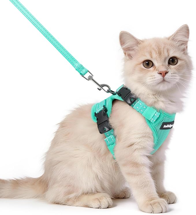 rabbitgoo Cat Harness and Leash, Easy-on with Neck Buckle, Green