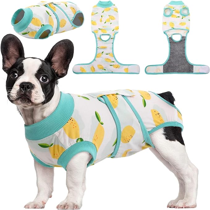 Kuoser Recovery Suit for Dogs Cats, Soft Dog Surgery Suit Female Male Spay | Professional Dog Onesie for Surgery, Substitute E-Collar & Cone, Prevent Licking Dog surgical suit Pet Neuter Suit
