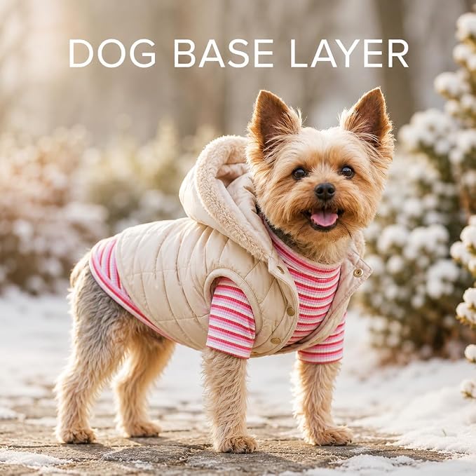 2Pack Soft Dog Shirt for Small Medium Dogs, Breathable Pet Clothes, Comfort Solution for Puppy Girl Boy, Stretchy Cotton Dog Tshirts, Fits Jack Russell, Mini Dachshund, Pink & Green-M