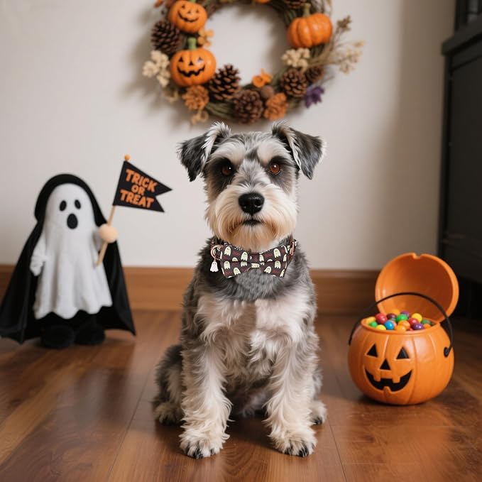 ADOGGYGO Halloween Dog Collar with Bow, Ghost Dog Bow Tie Collar, Small