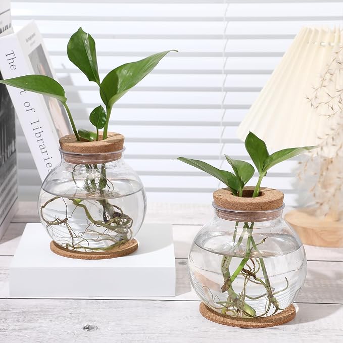 12 Packs Propagation Vases for Plants Plastic Plant Propagation Station with Hole Lid and Cork Coasters Plant Growing in Water Hydroponic Home Office Table Decoration(Fish Bowl Style)