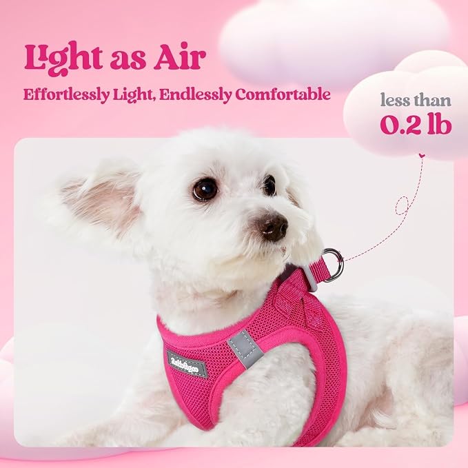 rabbitgoo Dog Harness Small Sized and Leash Set, Step-in Puppy Pet Vest | Light, Soft, Breathable Air Mesh, Easy on and Remove with Hook & Loop, Secure Reflective for Walking, Rose Red XS