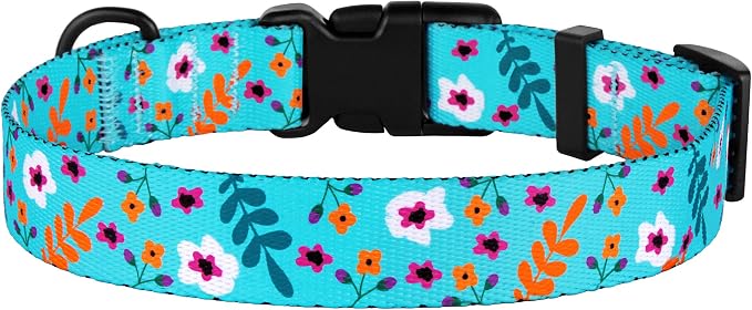 Nylon Dog Collar Floral Pattern Aquamarine 12-16 inch