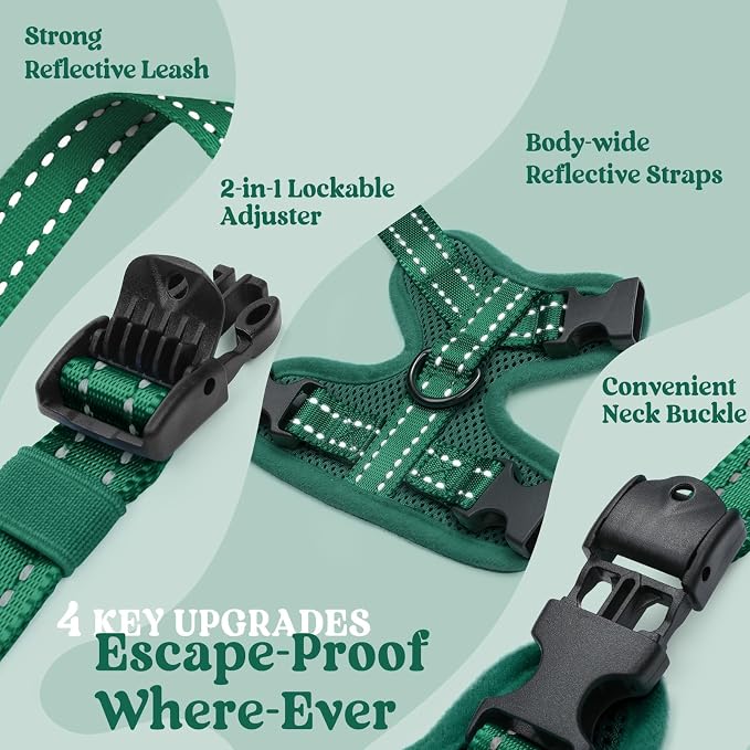 rabbitgoo Cat Harness and Leash, Easy-on with Neck Buckle, Dark Green