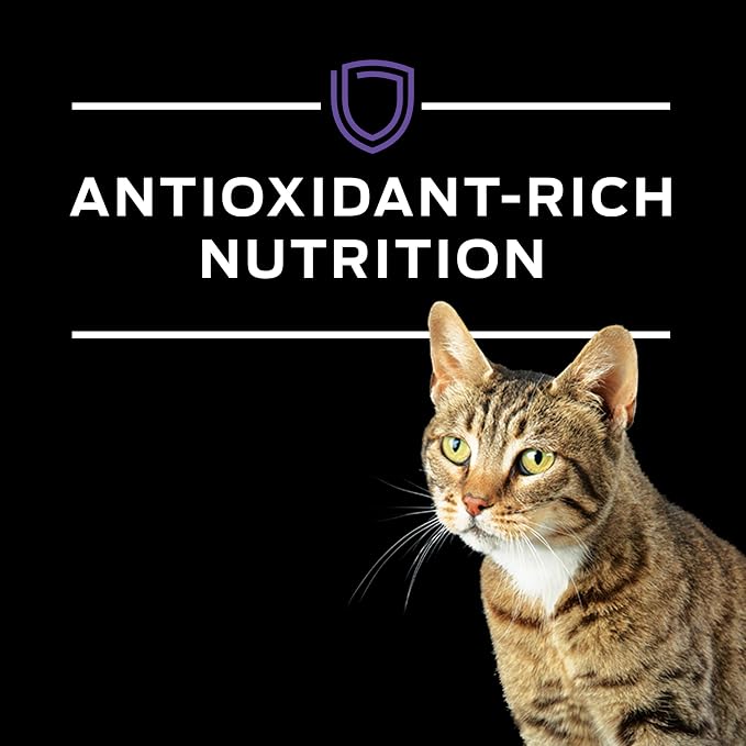 Pro Plan Veterinary Diets Purina HA Hydrolyzed Feline Formula Dry Cat Food - 4 lb. Bag