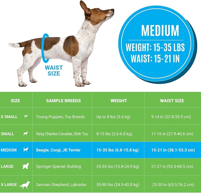 Bodhi Dog Disposable Male Dog Diapers - Super Absorbent, Leak-Proof Pee Wraps - Adjustable Fit, Comfortable Design, Advanced Moisture Control, and Wetness Indicator - Medium (20 Count)