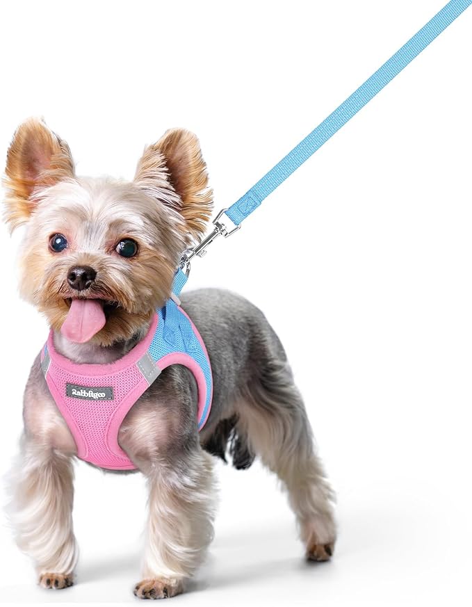rabbitgoo Dog Harness Small Sized and Leash Set, Step-in Puppy Pet Vest | Light, Soft, Breathable Air Mesh, Easy on and Remove with Hook & Loop, Secure Reflective for Walking, Blue & Light Pink XS
