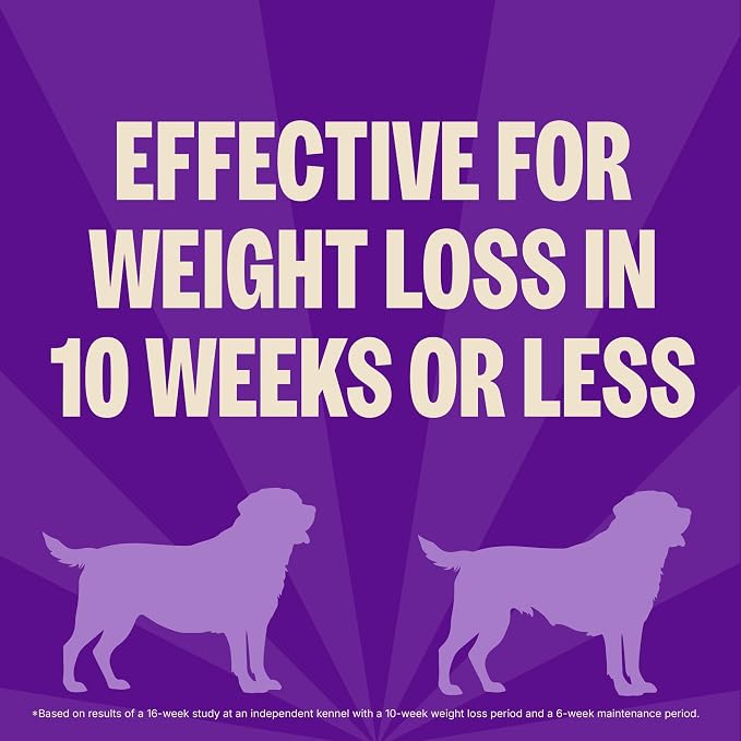 Wellness CORE Healthy Weight Adult Dry Dog Food, Grain Free Kibble, Natural, High Protein, Turkey and Chicken Recipe, 26 lb Bag