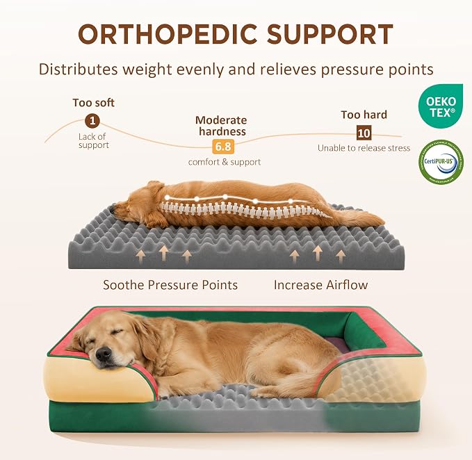 Comfort Expression Orthopedic Dog Bed for Extra Large Dogs with Bolster | Waterproof Dog Couch Bed with Washable Cover & Non-Slip Bottom, Supportive Egg Crate Foam XL Pet Bed, 42x30 Inch