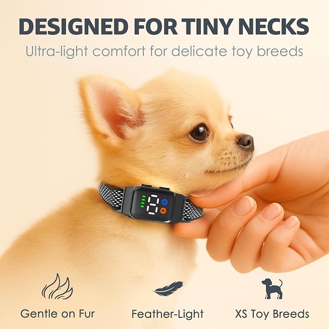 Teacup Bark Collar for Small Dogs 2-15lbs - No Shock Humane Anti Barking Collar with Vibration & Beep - Ultra Light Tiny Dog Bark Collar for Toy Breeds, IP67 Waterproof, Magnetic Rechargeable (Black)