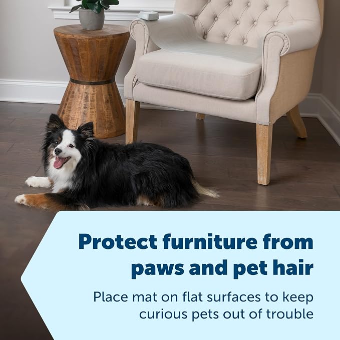 PetSafe ScatMat Indoor Training Mat