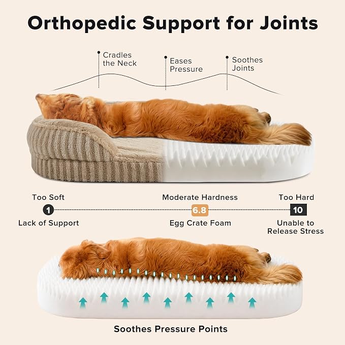 MIXJOY Orthopedic Dog Beds Large Sized Dog,Extra Large Washable Dog Bed Waterproof Oval Dogs Bed with Removable Cover,Egg-Crate Foam Big Pet Bed Couch with Bolster,Non-Slip Bottom,XL 42"X32",Brown